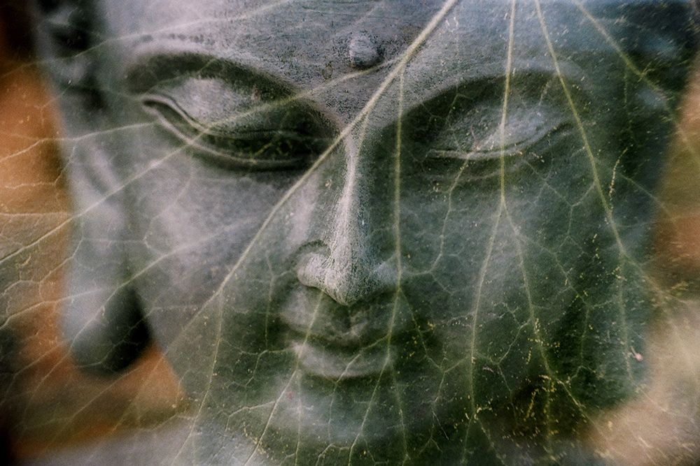 Green Buddha Statue Closeup art print by Artographie for $57.95 CAD
