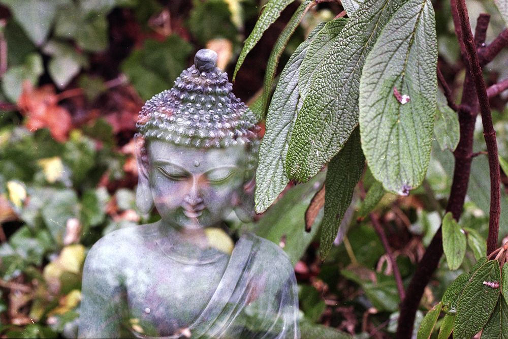 Green Buddha Statue with Leaves art print by Artographie for $57.95 CAD
