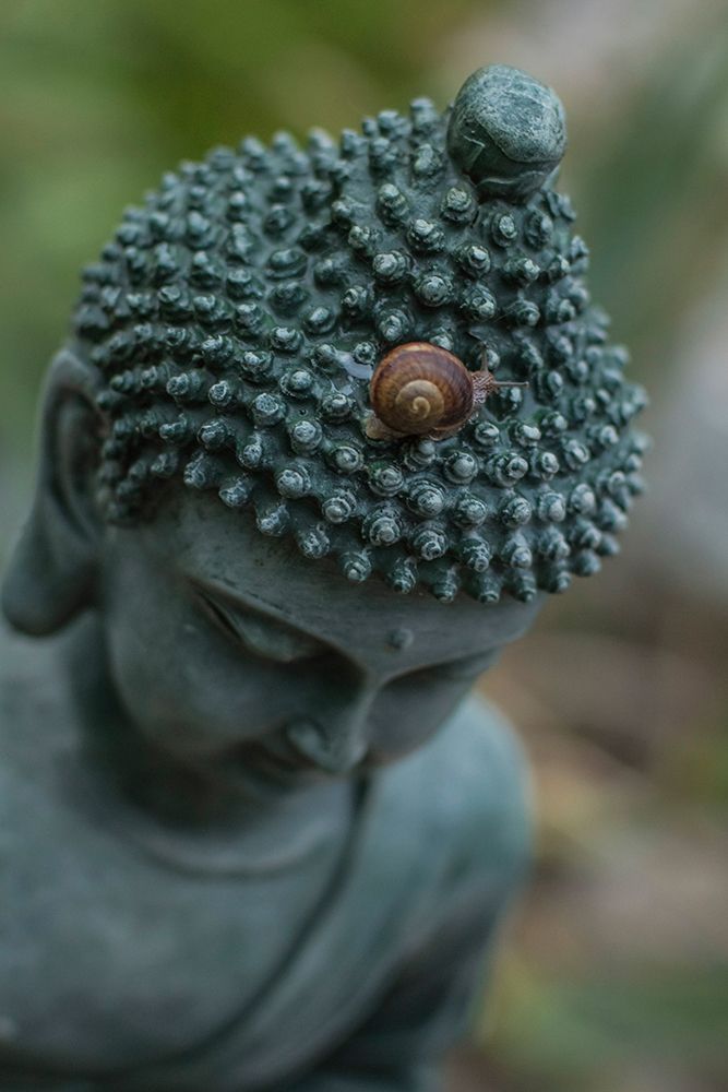Green Buddha Statue with Snail art print by Artographie for $57.95 CAD