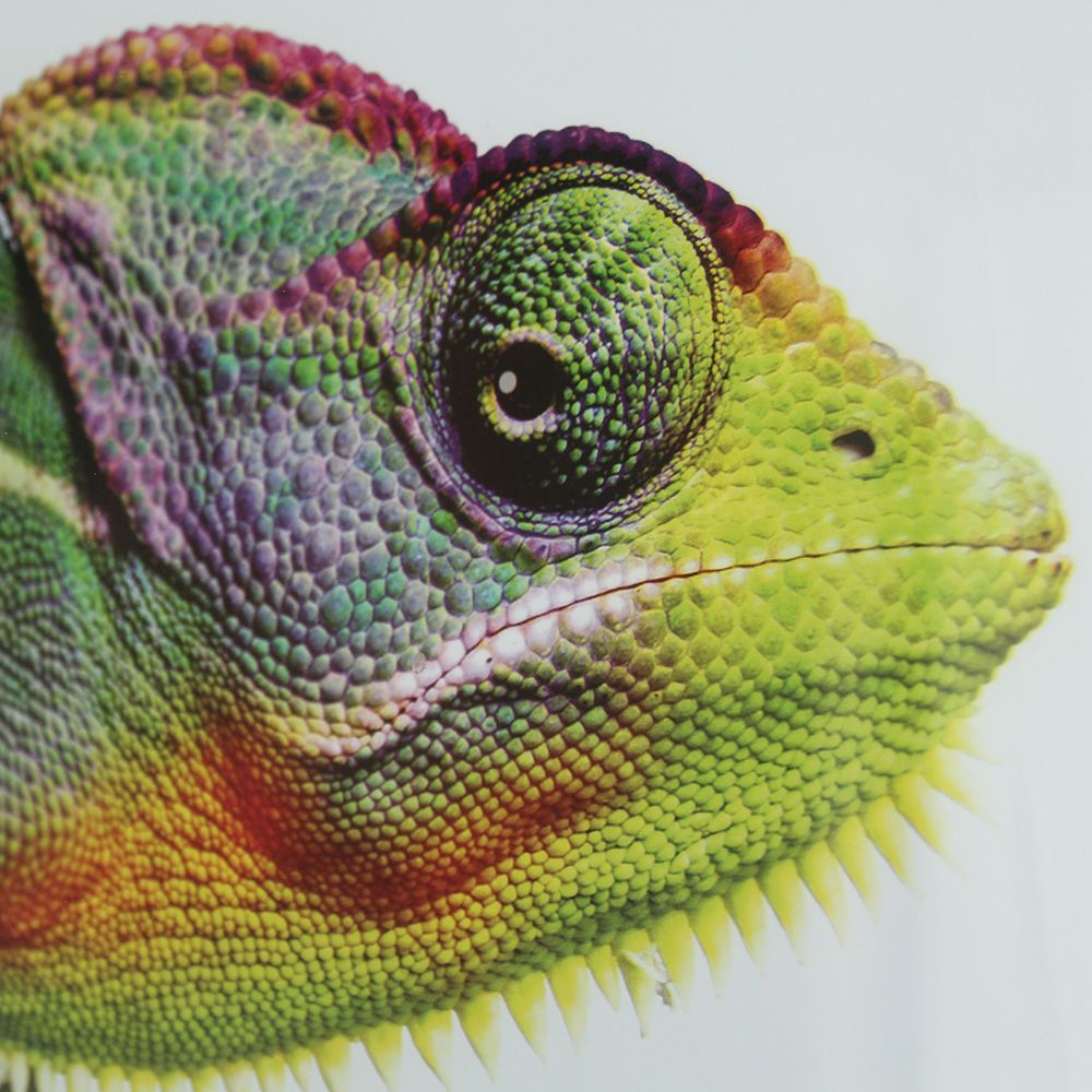 Iguana lizard Best Side art print by Artographie for $57.95 CAD