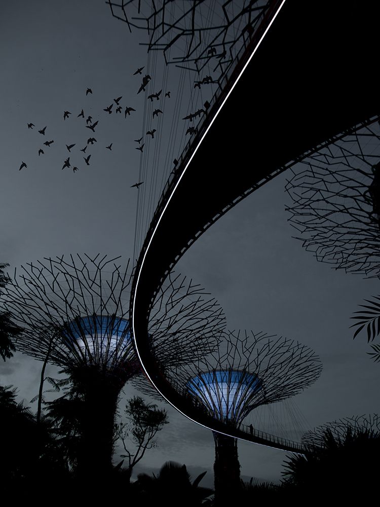 Night Mood Supertree Grove in Singapore art print by Artographie for $57.95 CAD