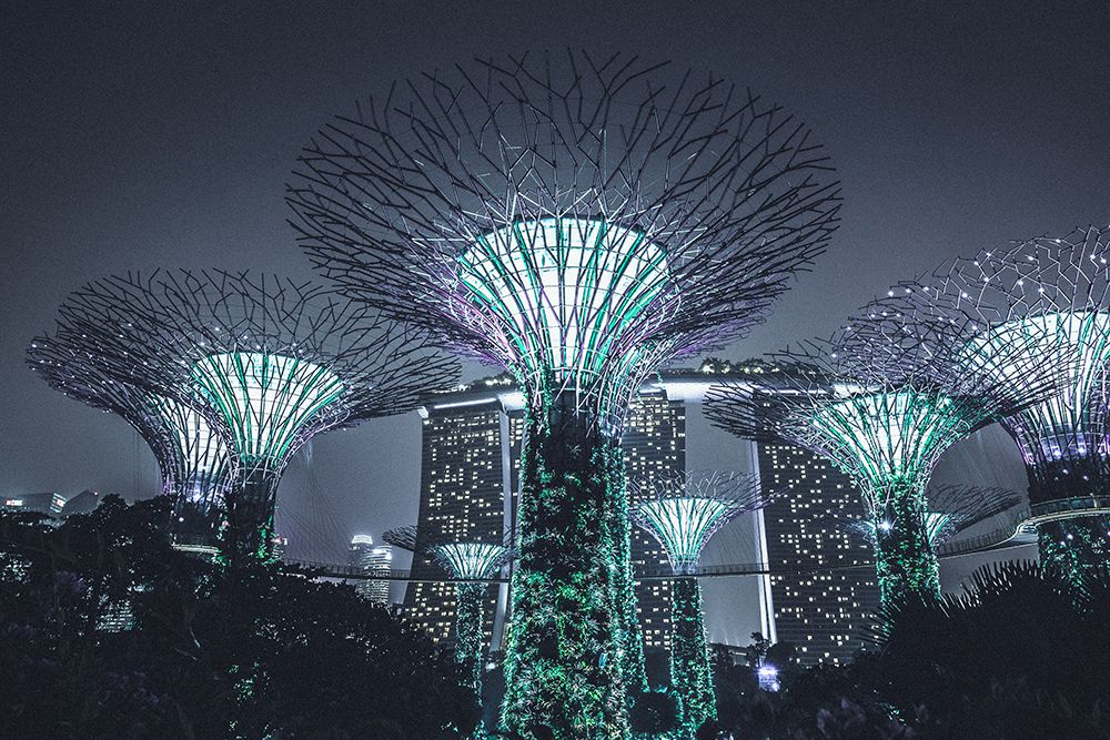 Night Show Supertree Grove in Singapore art print by Artographie for $57.95 CAD