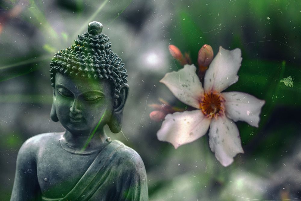 Peaceful Buddha statue with Flower art print by Artographie for $57.95 CAD