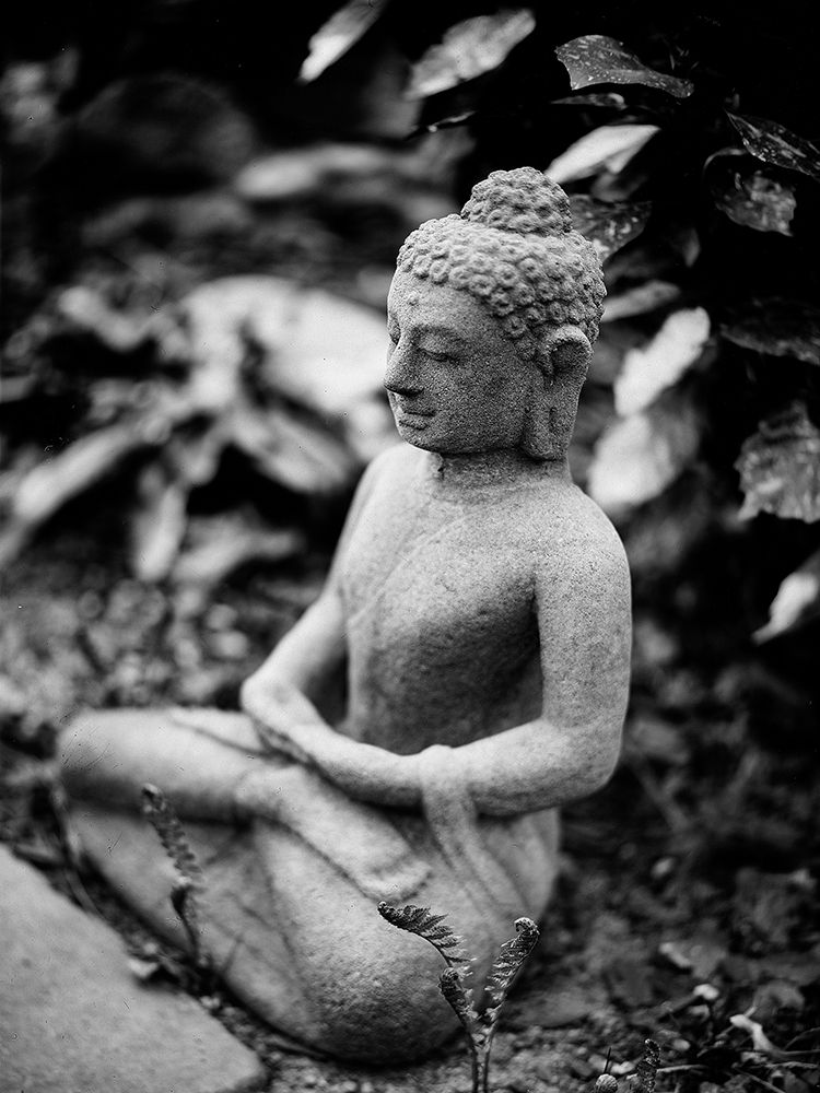 Seated Buddha Statue in Black and White with Leaves art print by Artographie for $57.95 CAD