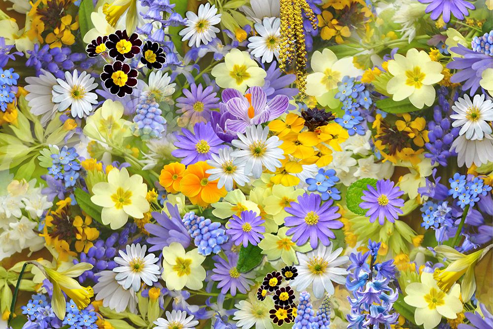 Yellow and Purple Flowers art print by Artographie for $57.95 CAD