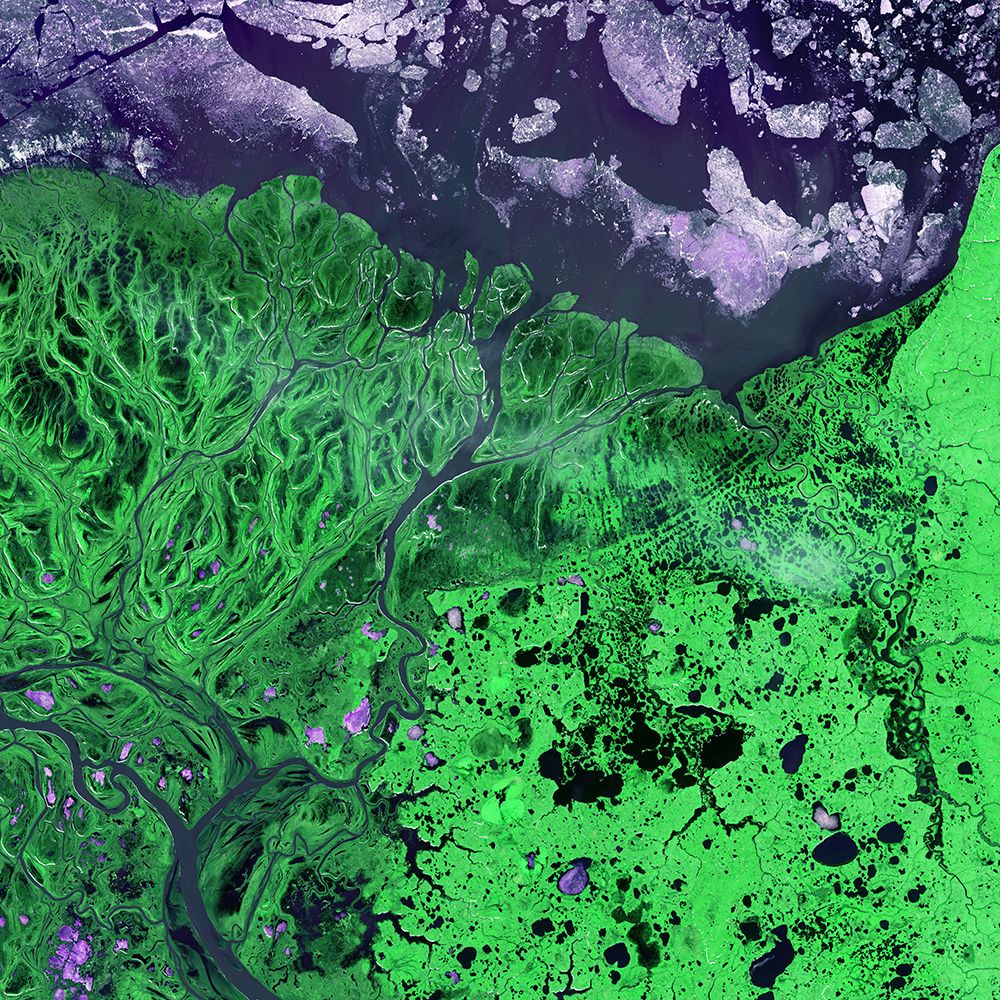 Yukon Kuskokwim River Satellite View art print by Artographie for $57.95 CAD