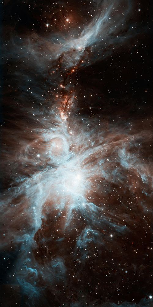 Brown Vertical Nebula art print by NASA for $57.95 CAD