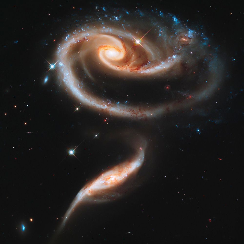 Hubble Rose of Galaxies art print by NASA for $57.95 CAD