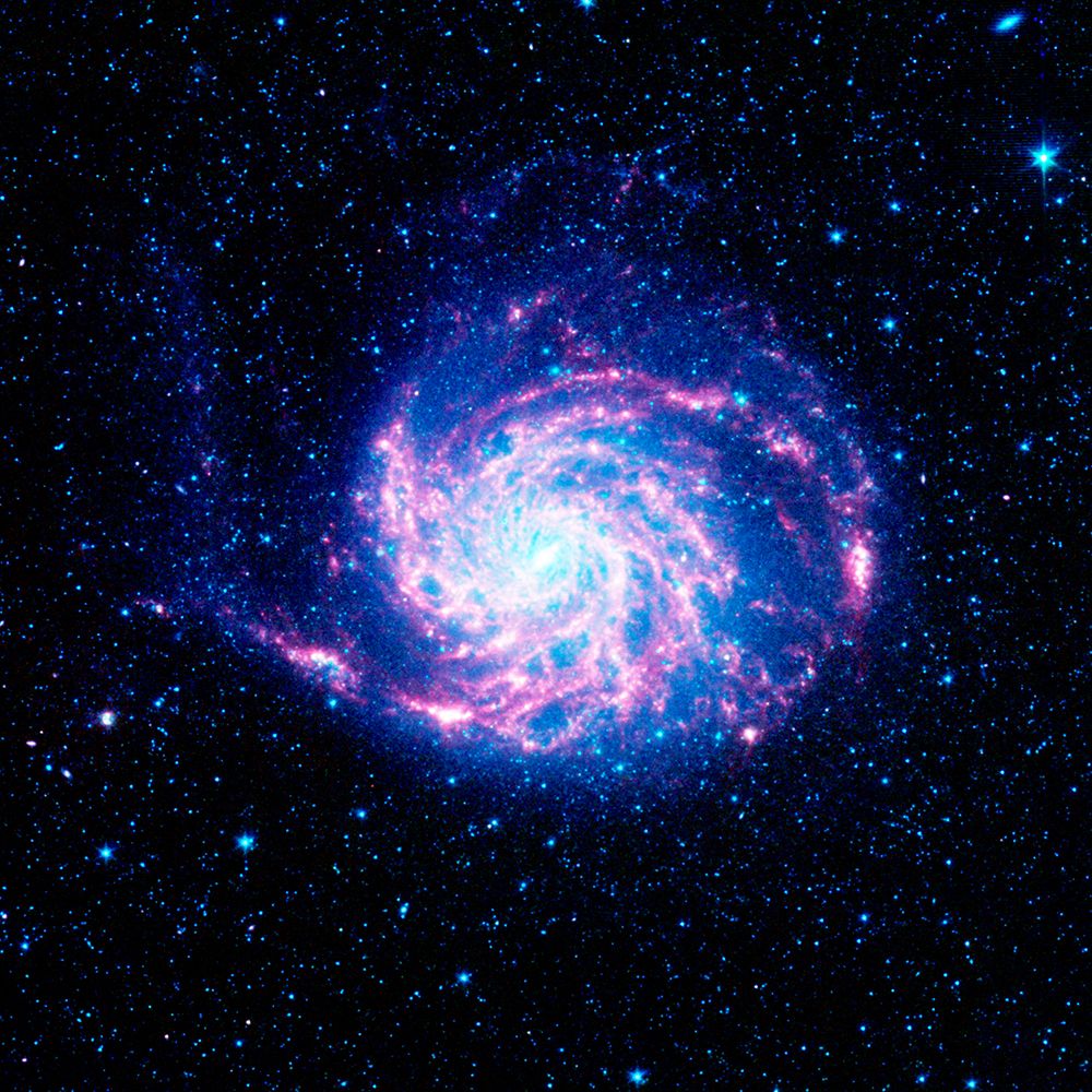 The Pinwheel Galaxy art print by NASA for $57.95 CAD