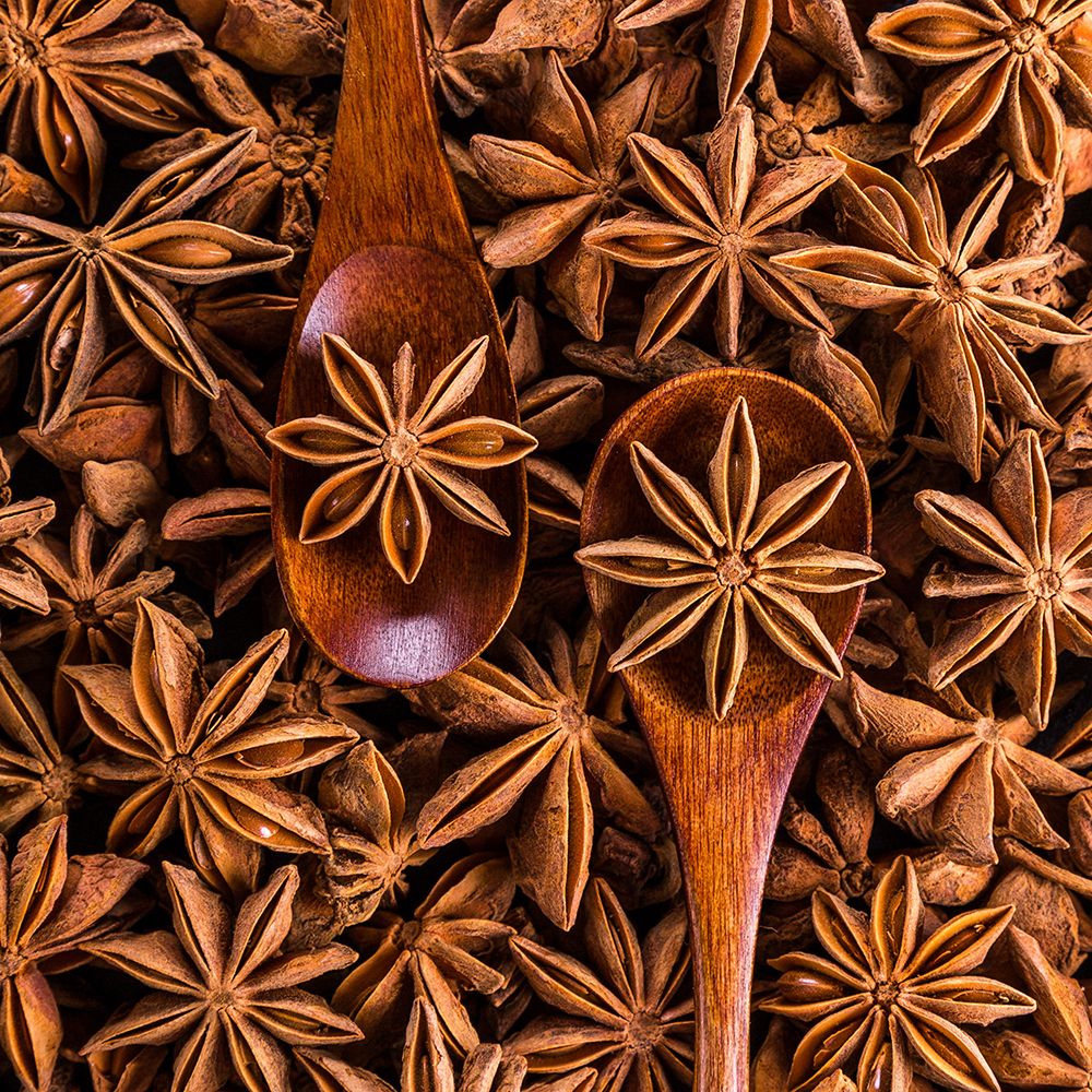 Dried Anise art print by Artographie for $57.95 CAD
