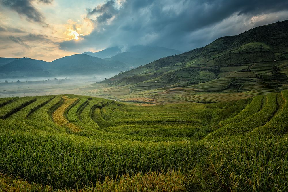 Fields in China art print by Artographie for $57.95 CAD