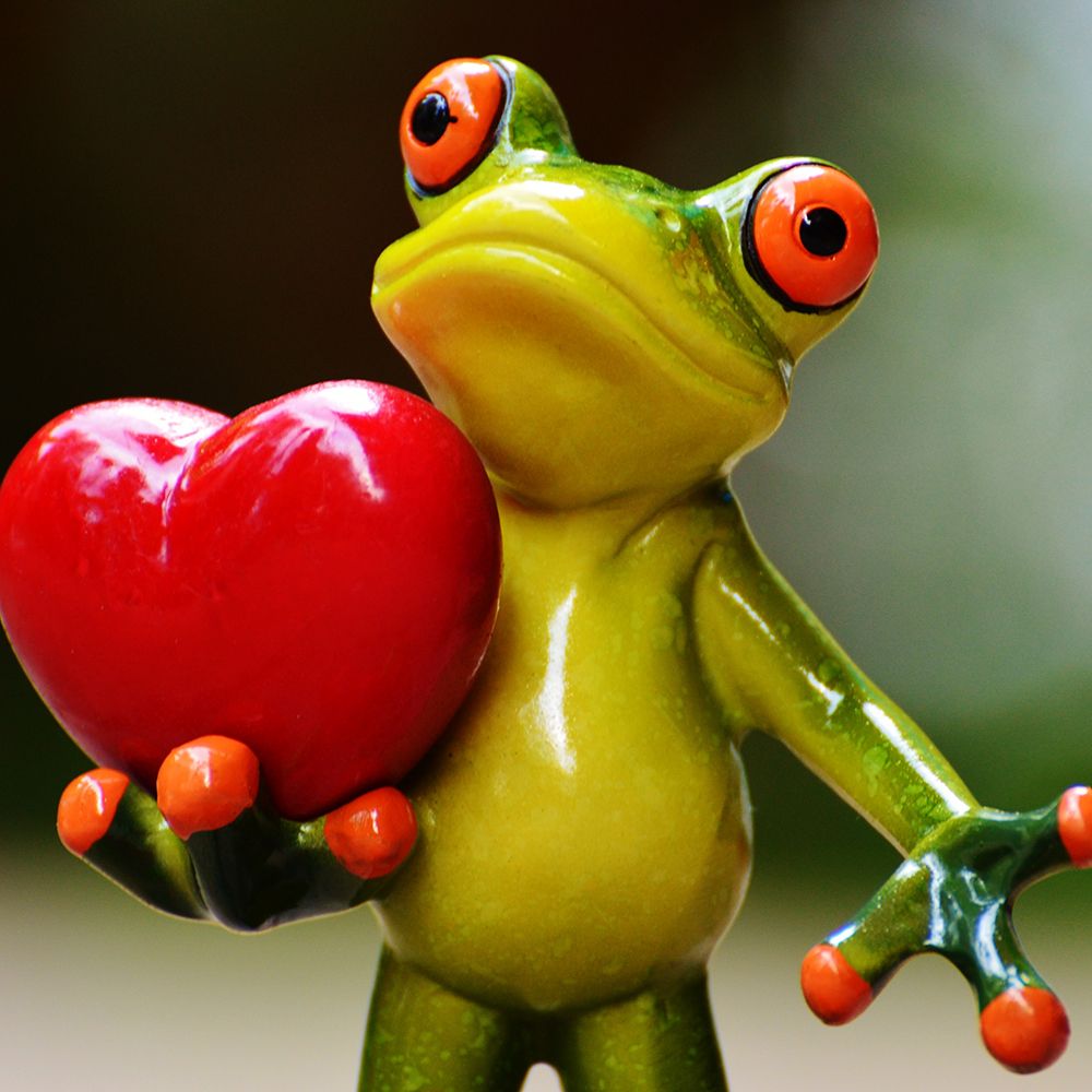 Just a Frog with a Big Heart art print by Artographie for $57.95 CAD