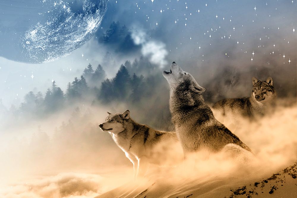 Howl at the Moon art print by Artographie for $57.95 CAD