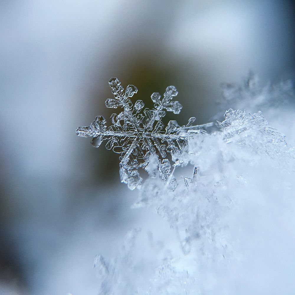 Ice Crystal Forming a Snowflake art print by Artographie for $57.95 CAD