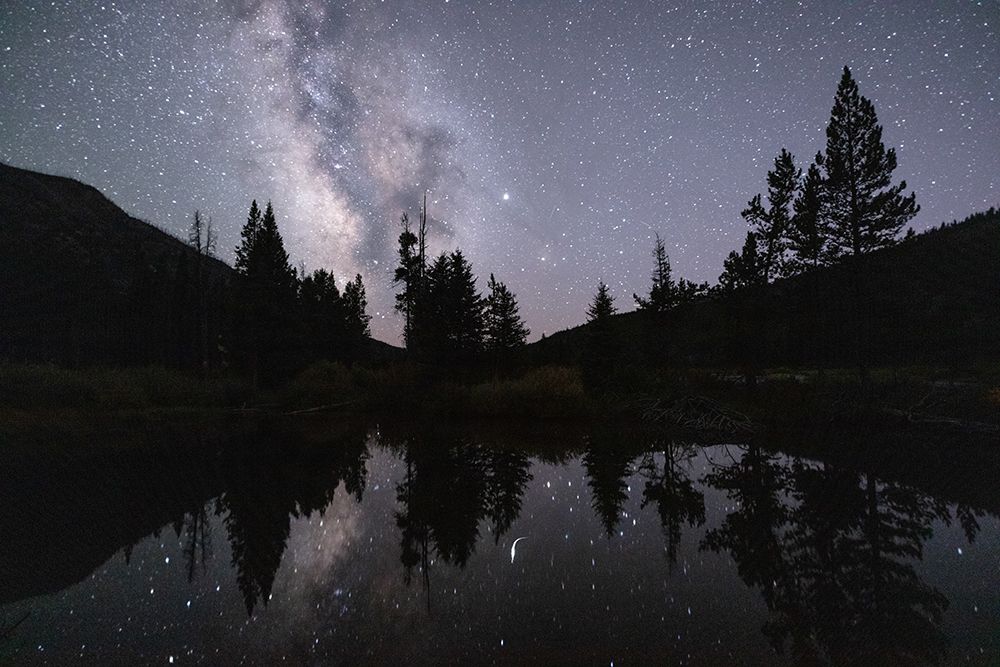 Milky Way Reflections on a Beaver Pond art print by Artographie for $57.95 CAD