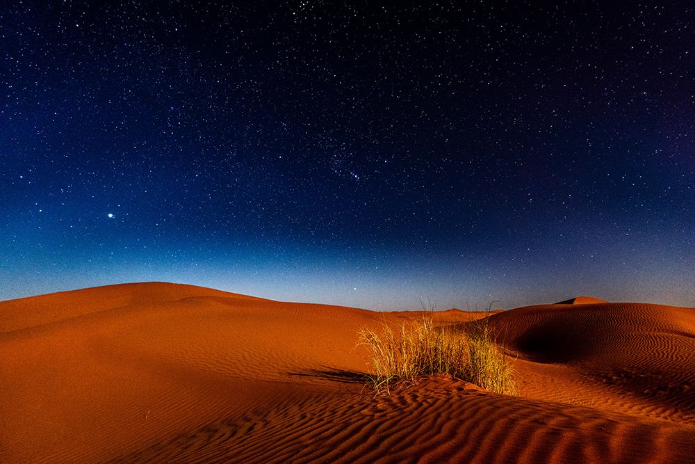 Night in the Desert art print by Artographie for $57.95 CAD