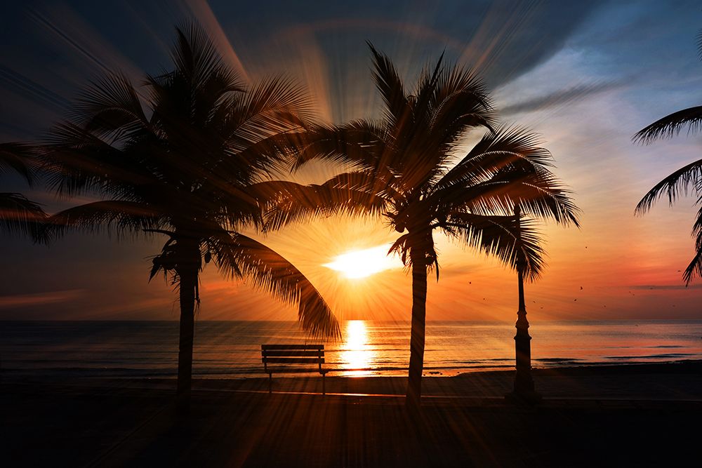 Paradise Sunset art print by Artographie for $57.95 CAD