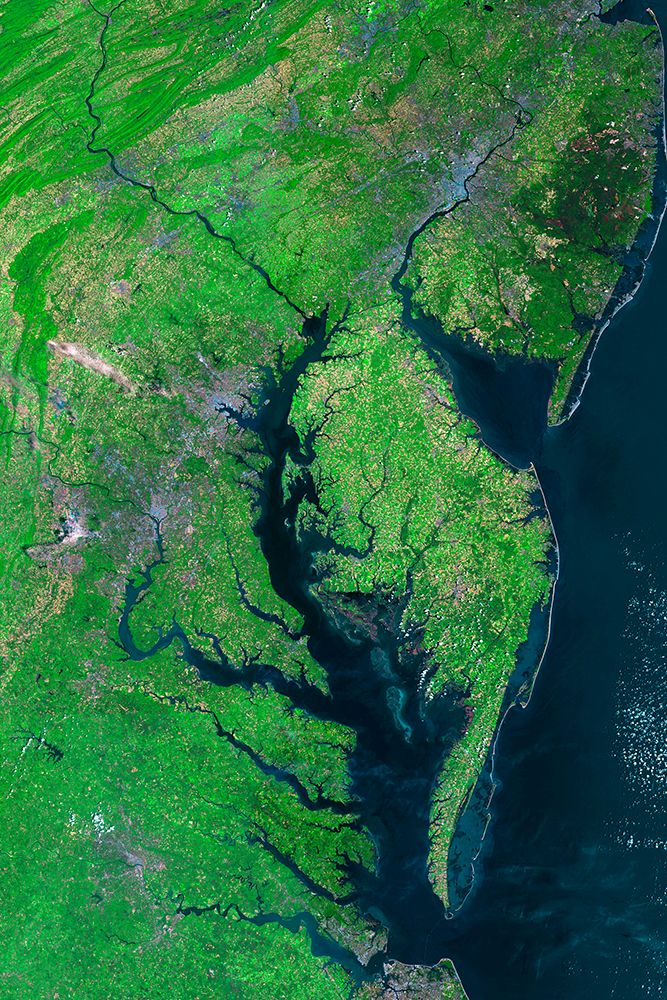 Chesapeake Bay Viewed from Space art print by NASA for $57.95 CAD