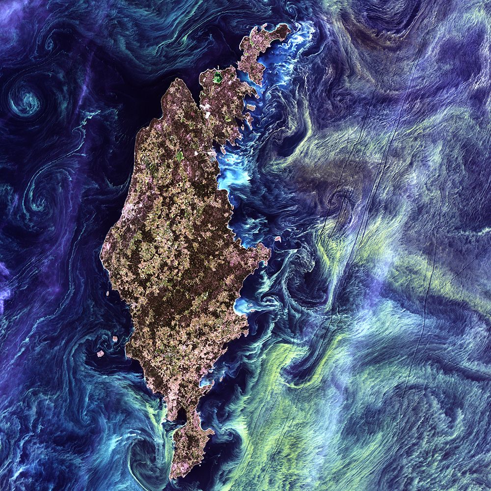 Gotland - a Swedish island in the Baltic Sea Viewed from Space art print by NASA for $57.95 CAD