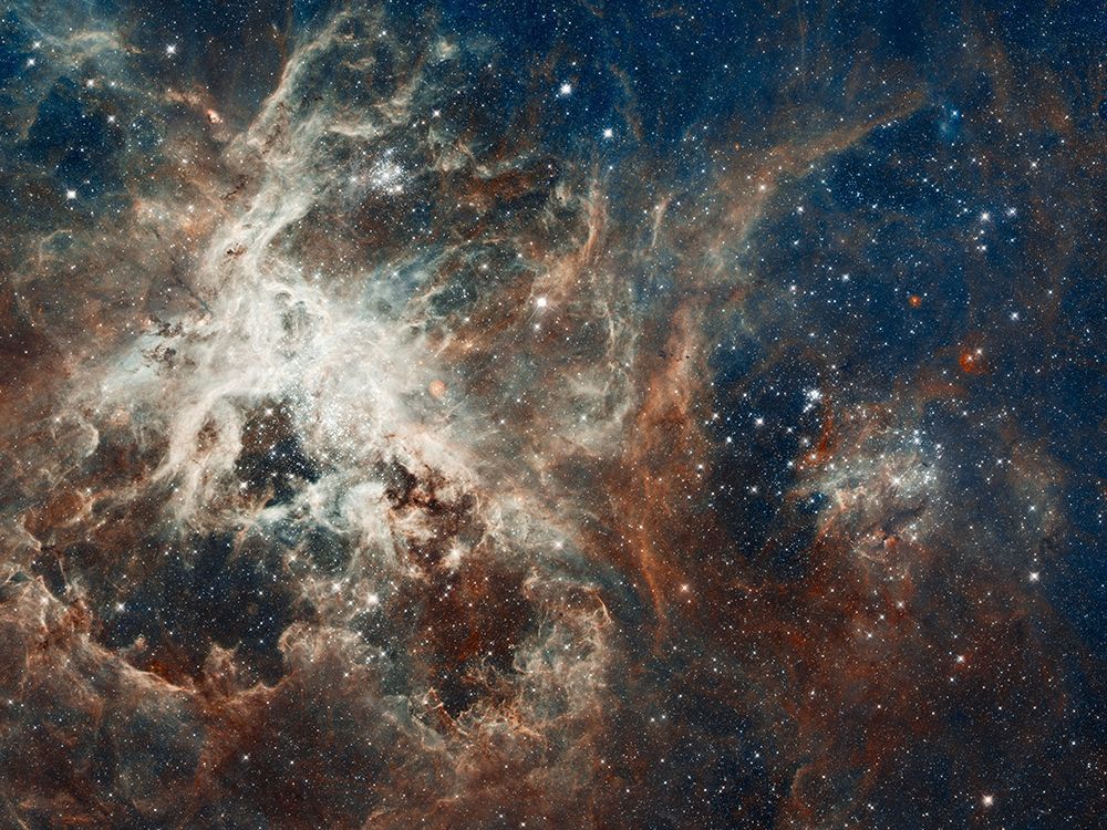 Hubble Space Telescope image of 30 Doradus - Tarantula Nebula art print by NASA for $57.95 CAD
