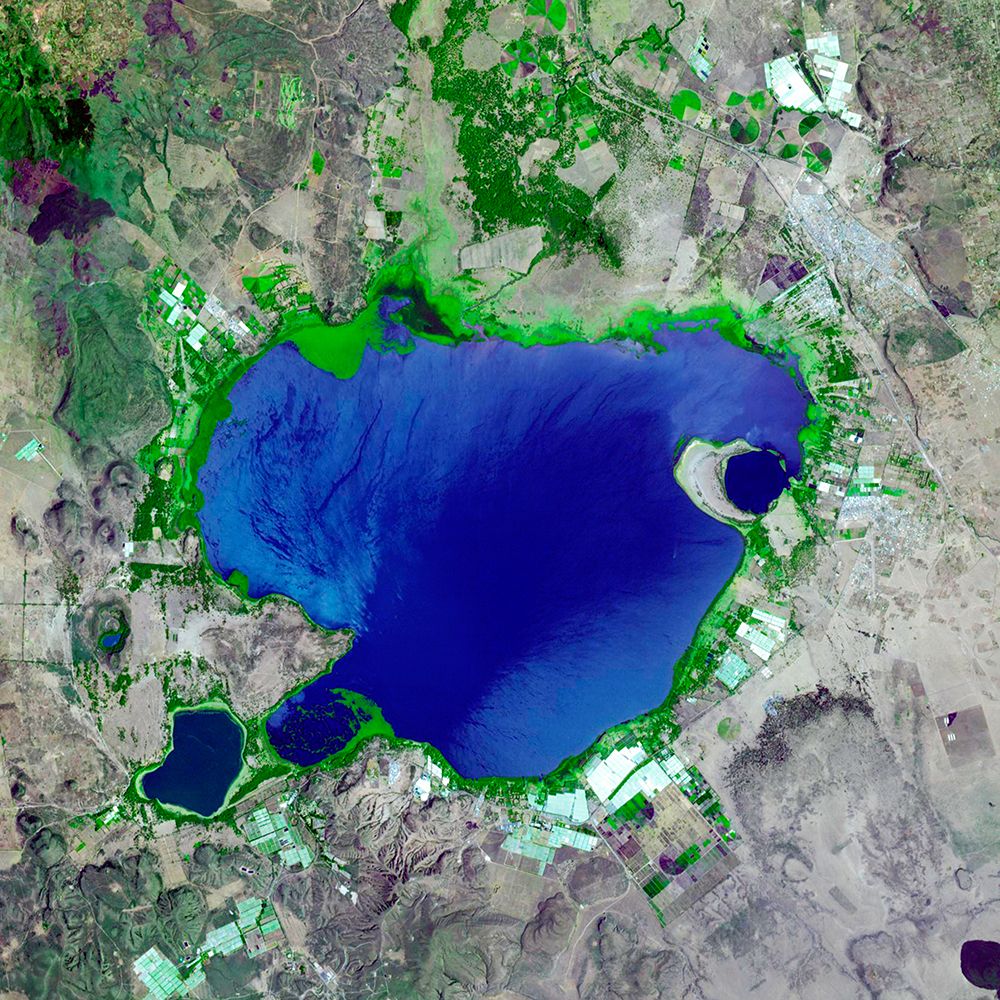 Lake Naivasha - Nairobi Viewed from Space art print by NASA for $57.95 CAD