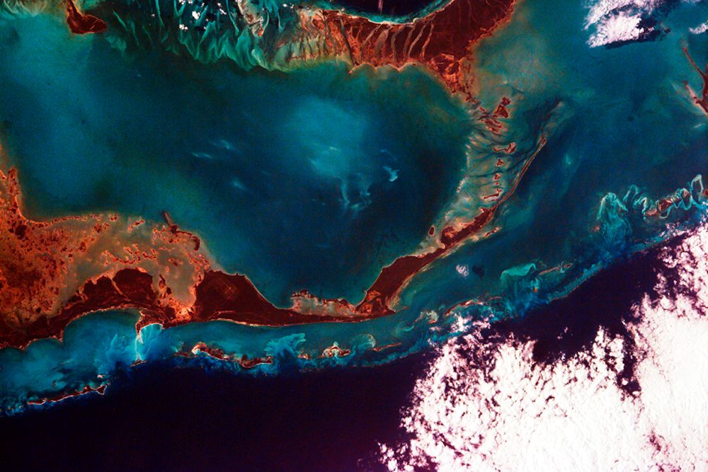 Little Bahama Bank - the Bahamas Viewed from Space art print by NASA for $57.95 CAD
