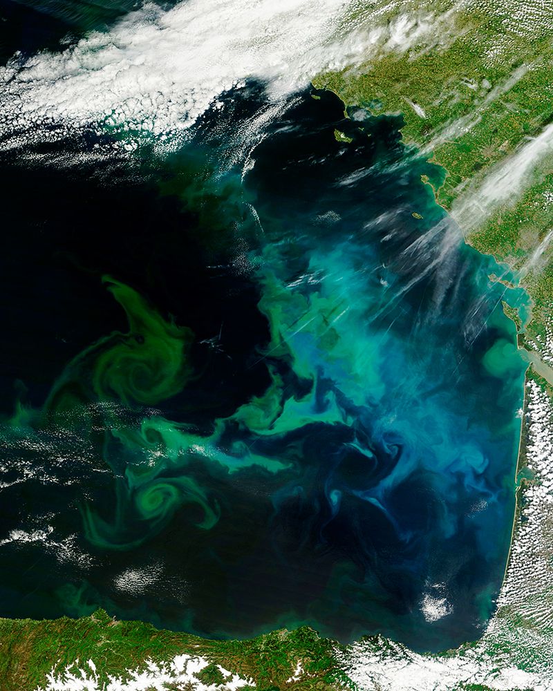 Phytoplankton Bloom in the Bay of Biscay Viewed from Space art print by NASA for $57.95 CAD
