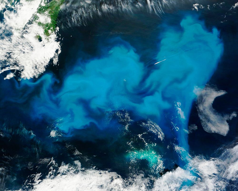 Phytoplankton Bloom off Newfoundland Viewed from Space art print by NASA for $57.95 CAD