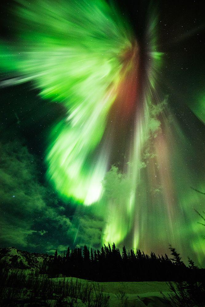 St. Patricks aurora - a green aurora taken at Donnelly Creek - Alaska art print by NASA for $57.95 CAD