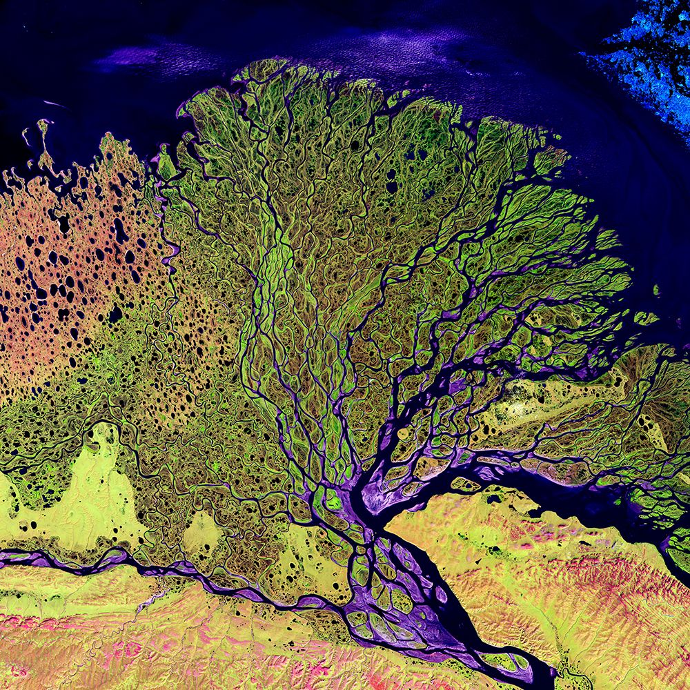 The Lena River is one of the Largest Rivers in the World art print by NASA for $57.95 CAD