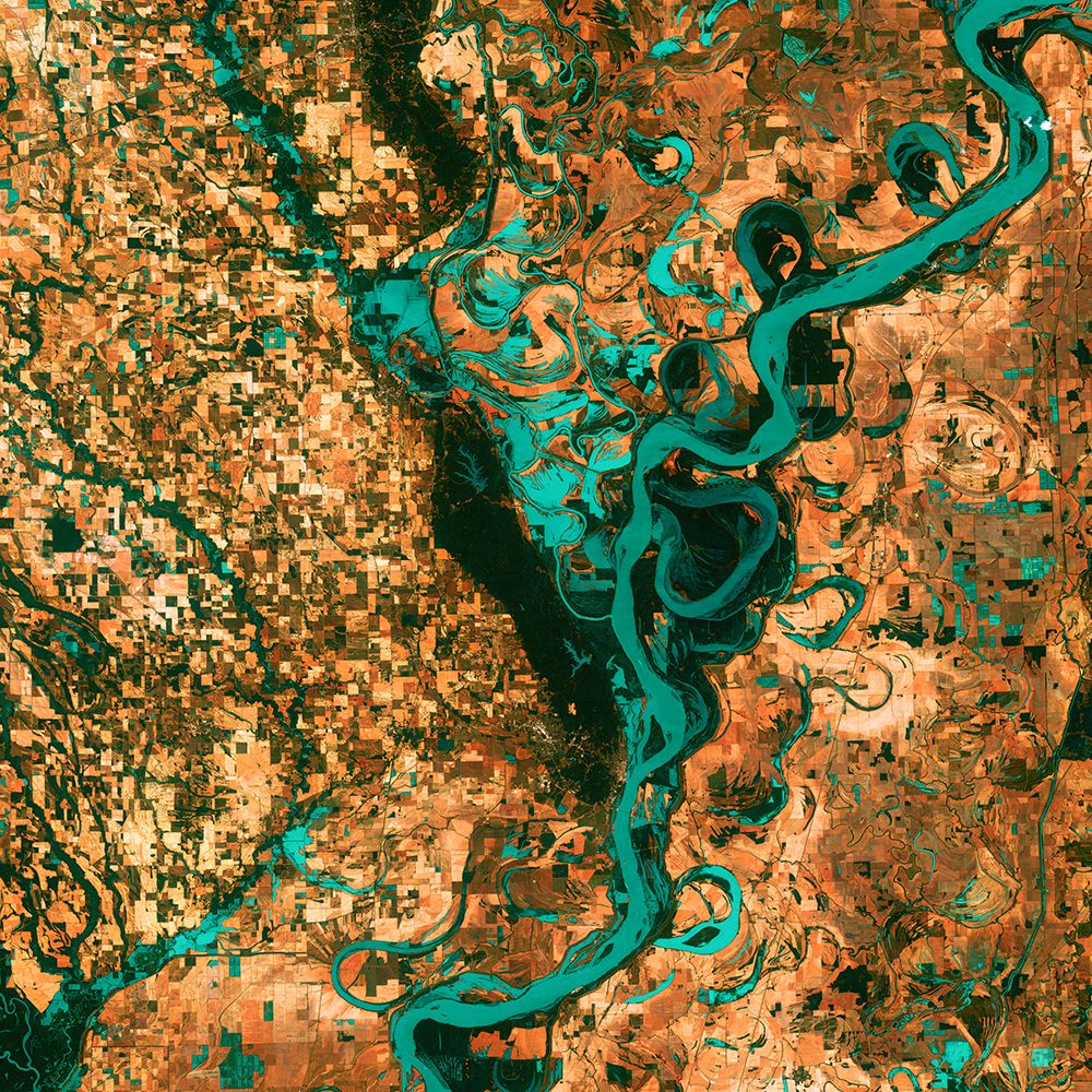 the Mississippi River Viewed from Space art print by NASA for $57.95 CAD