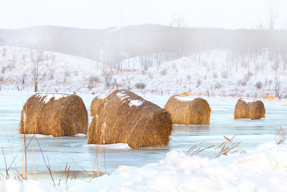 Frozen Hay Bales art print by Jim Cumming for $57.95 CAD