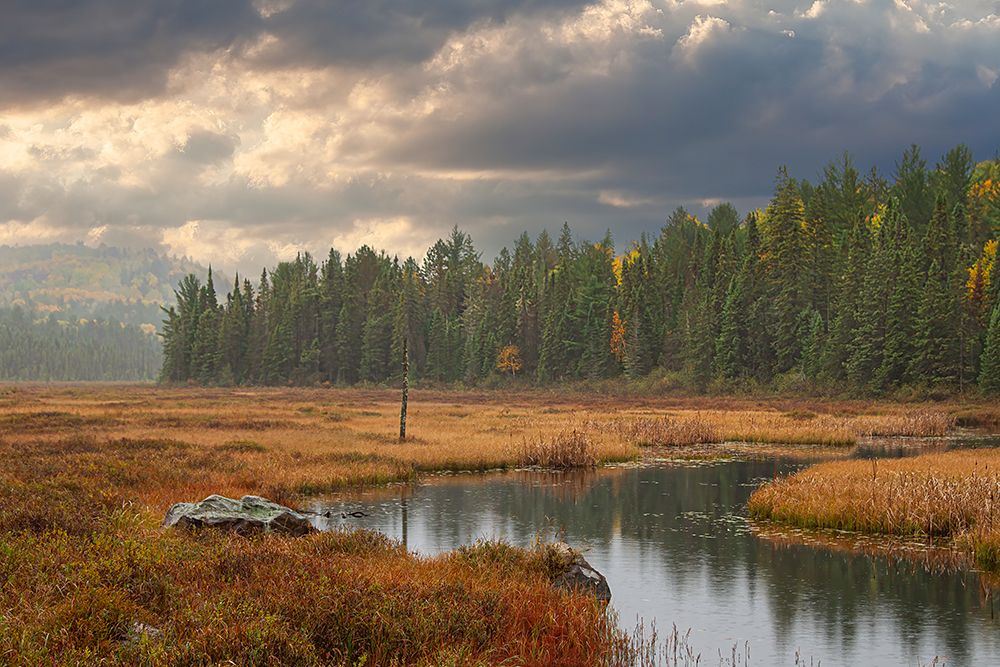 Algonquin Park Costello Creek art print by Jim Cumming for $57.95 CAD