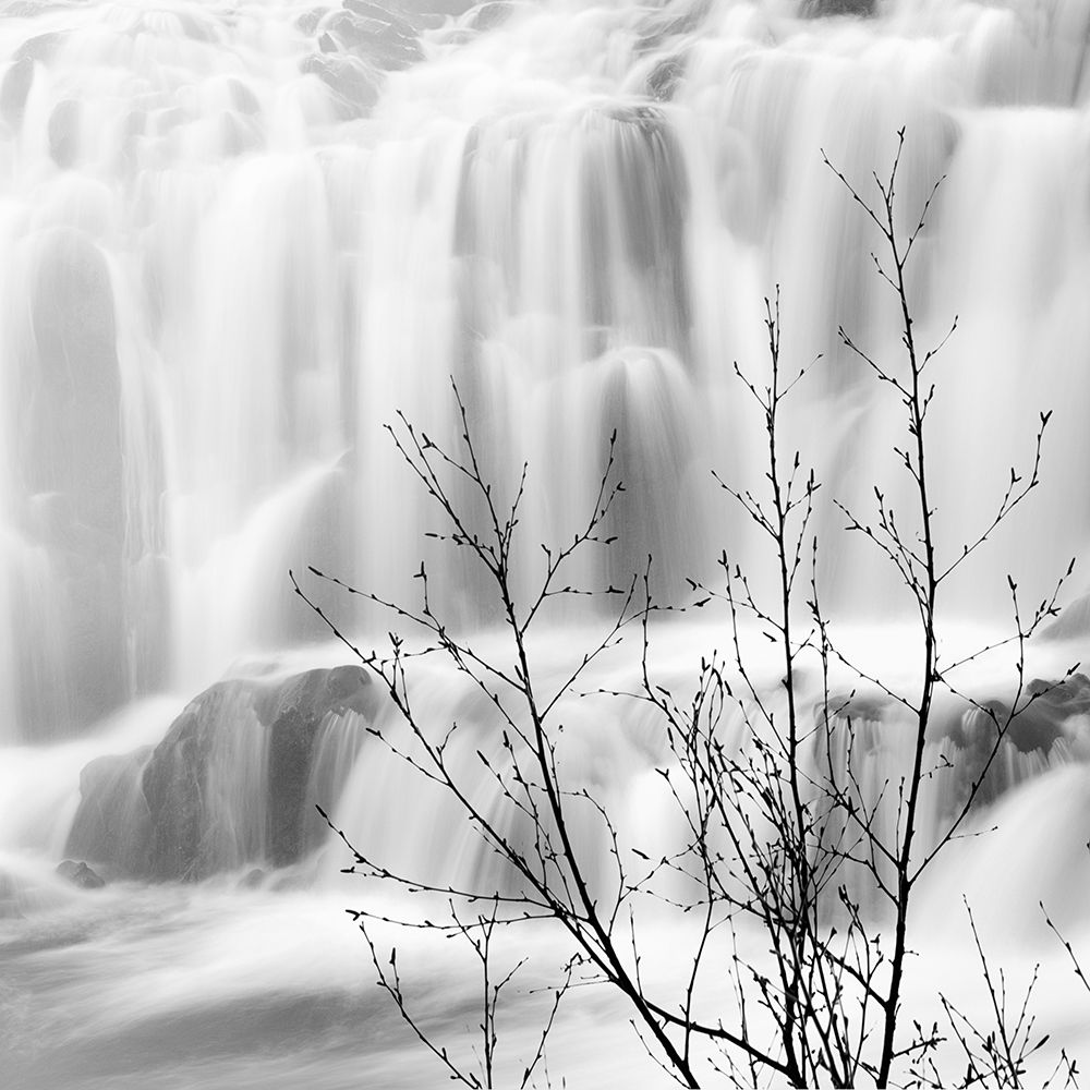 Waterfall art print by Praxis Studio for $57.95 CAD