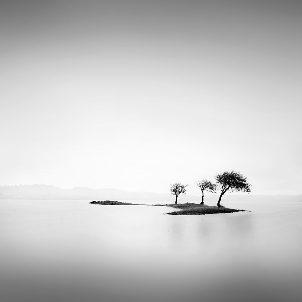 Island and Trees art print by Praxis Studio for $57.95 CAD