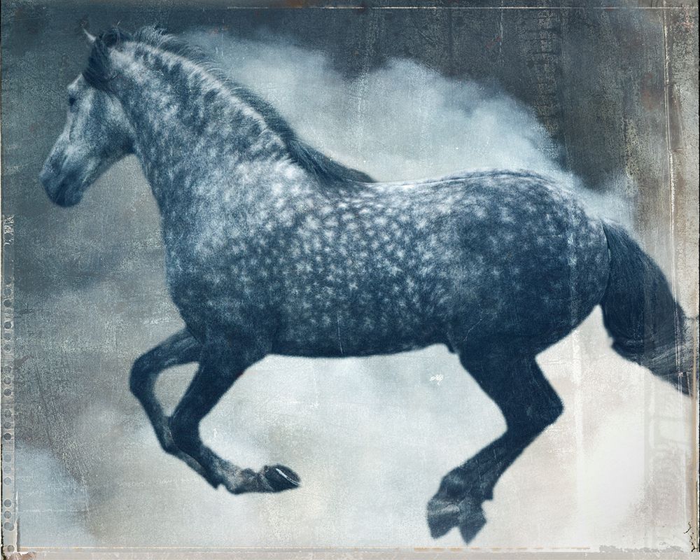 Dapple Horse art print by Susan Friedman for $57.95 CAD