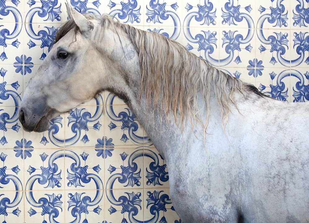 Tiled Horse art print by Susan Friedman for $57.95 CAD