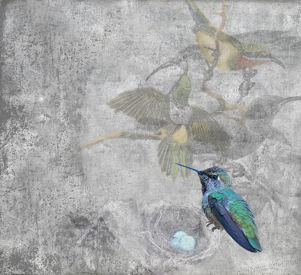 Hummingbird III art print by Susan Friedman for $57.95 CAD