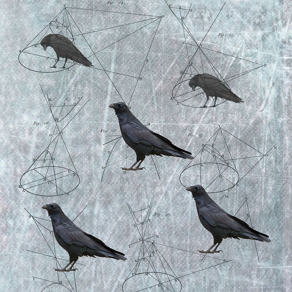 Five Crows art print by Susan Friedman for $57.95 CAD