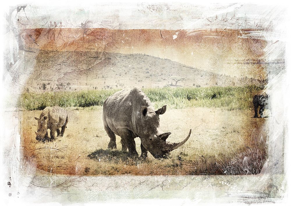 Rhino Grazing art print by Klaus Tiedge for $57.95 CAD