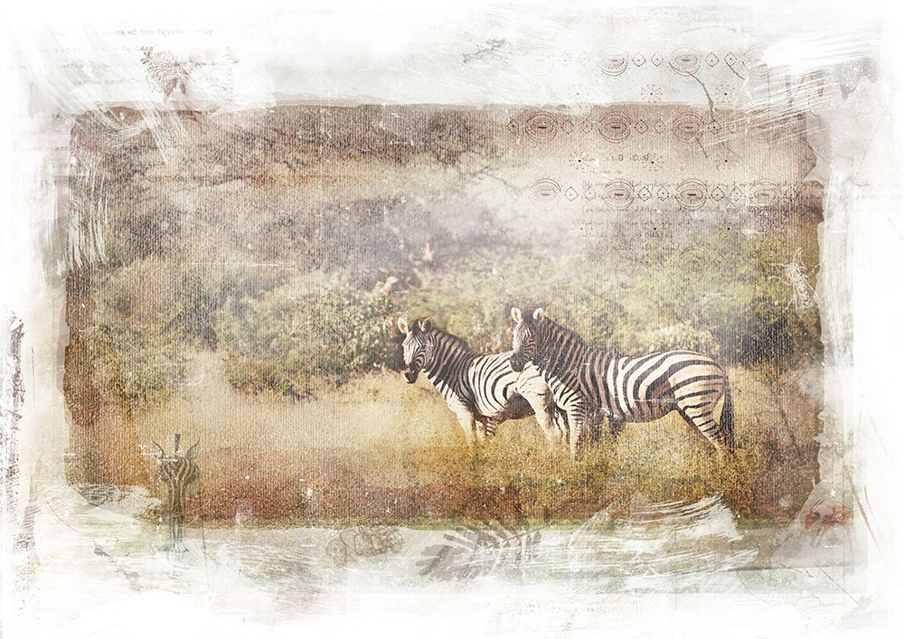 Zebra Family art print by Klaus Tiedge for $57.95 CAD