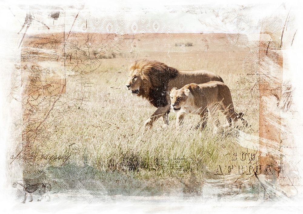 Lion Couple art print by Klaus Tiedge for $57.95 CAD