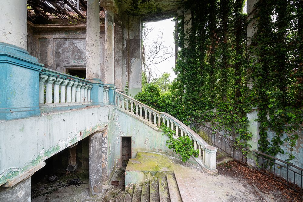 Overgrown Staircase art print by Roman Robroek for $57.95 CAD