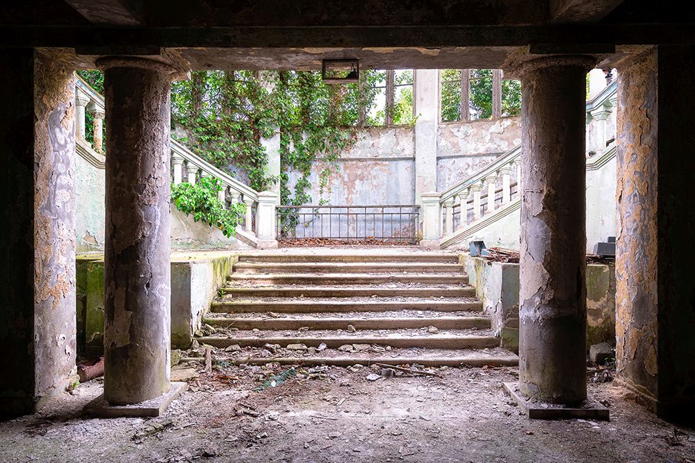 Overgrown Stairs art print by Roman Robroek for $57.95 CAD