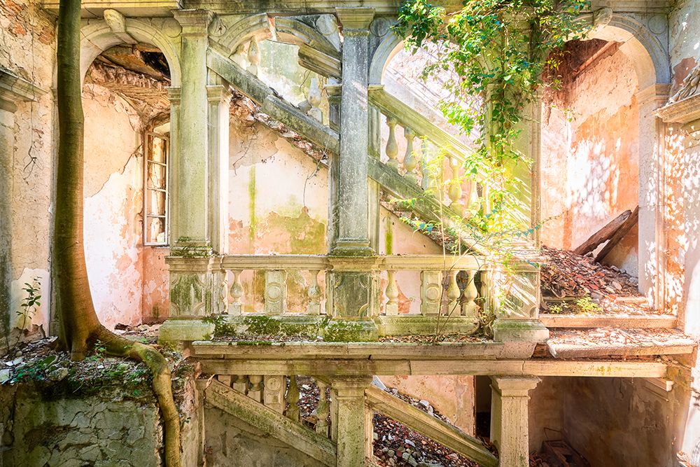 Poetic Villa Ruin art print by Roman Robroek for $57.95 CAD