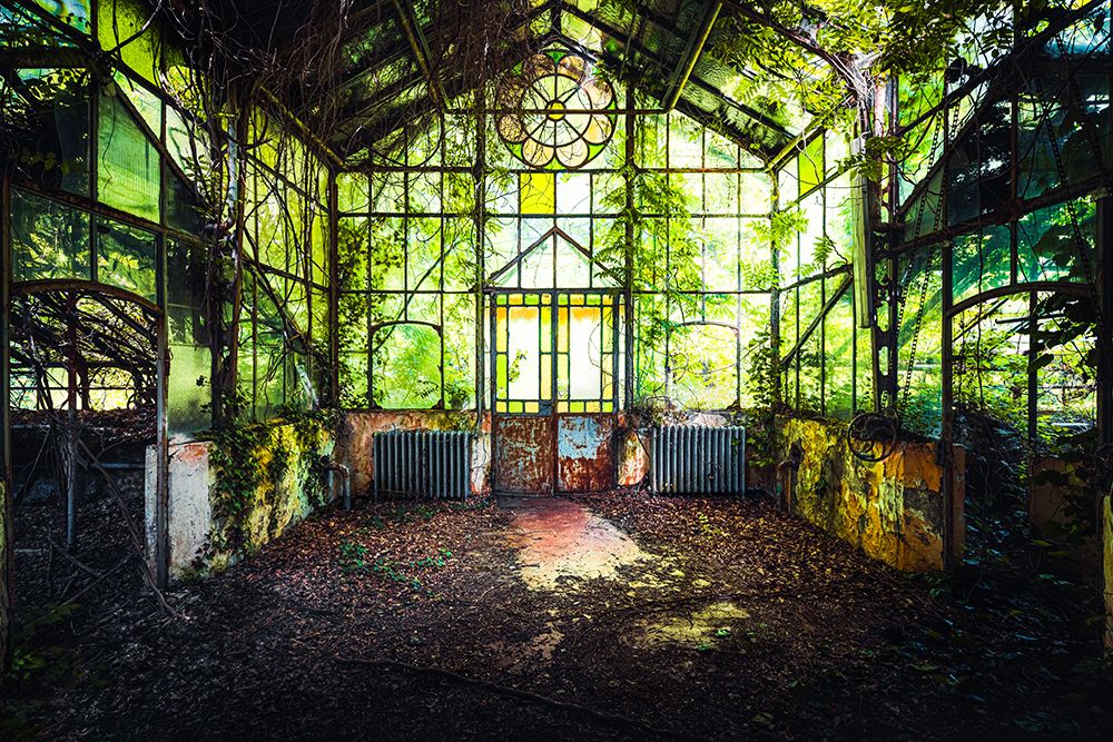 Overgrown Greenhouse art print by Roman Robroek for $57.95 CAD