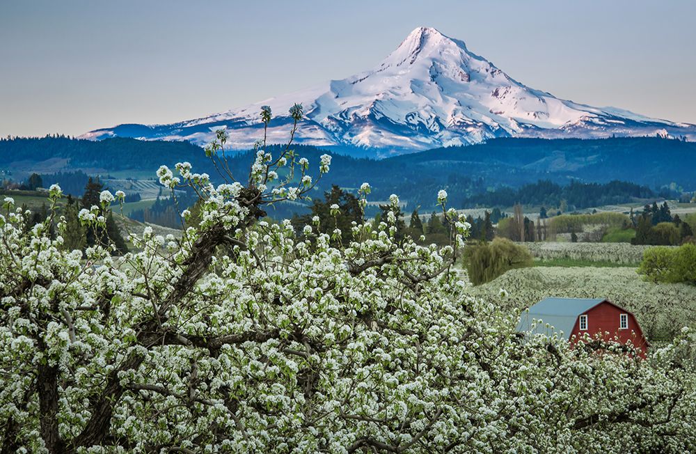 Hood River Barn art print by Don Schwartz for $57.95 CAD