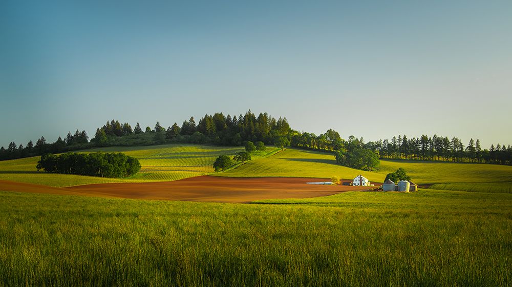 Rolling Hills, Tranquil Farm I art print by Don Schwartz for $57.95 CAD
