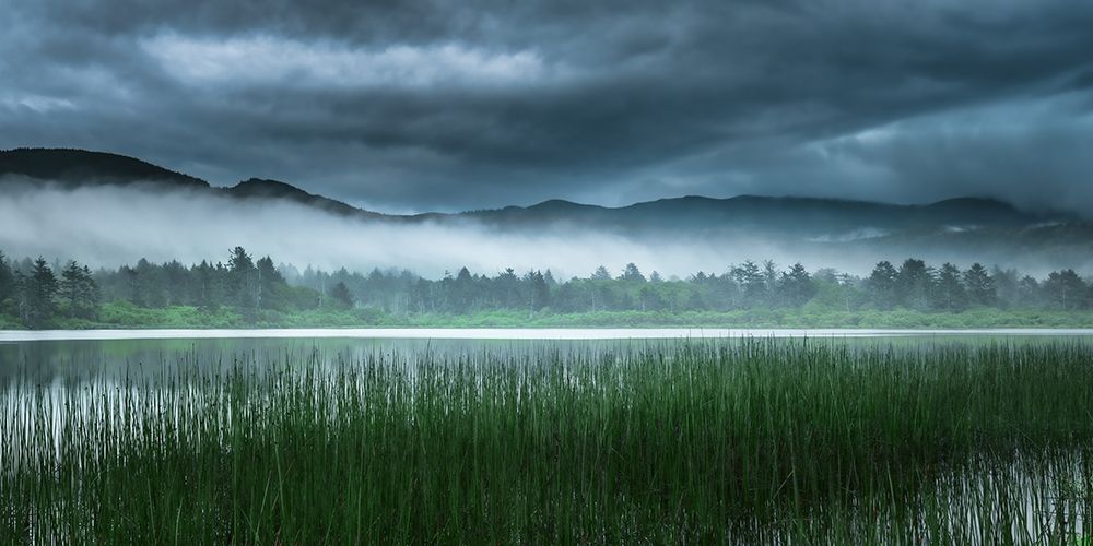Lakeside Mist art print by Don Schwartz for $57.95 CAD