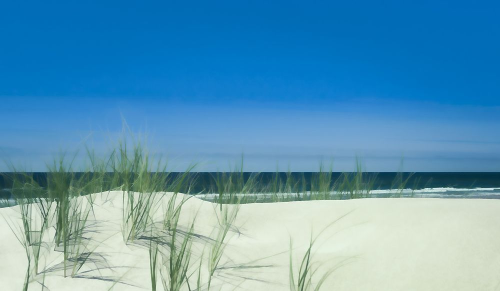 Sunlit Coastal Dunes art print by Don Schwartz for $57.95 CAD